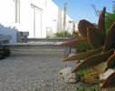 View across the beach front garden