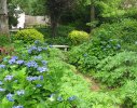 A bench amongst shrubbery allows for cool contemplation