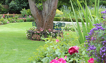 Constantia Classic