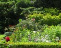 The placement of classical pots and urns re-inforces direction and flow of the garden