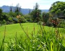 Constantia 3