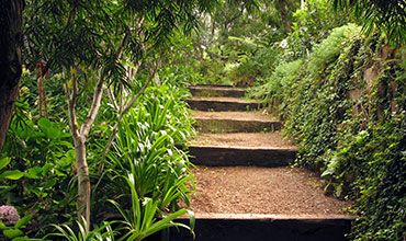 Other Gardens