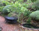 Noordhoek, Garden 2 - After