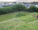 Noordhoek, Garden 1 - Before